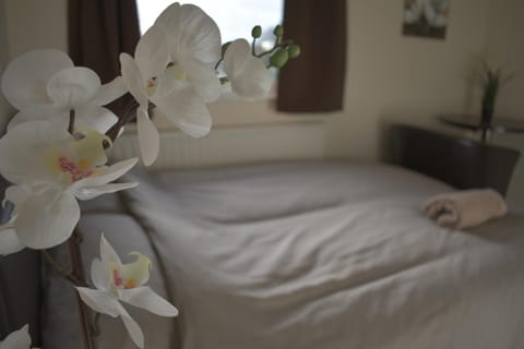 Home and a Stay Bed and Breakfast in Bristol