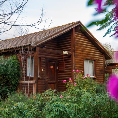 Property building, Spring, Day, Garden, Garden view