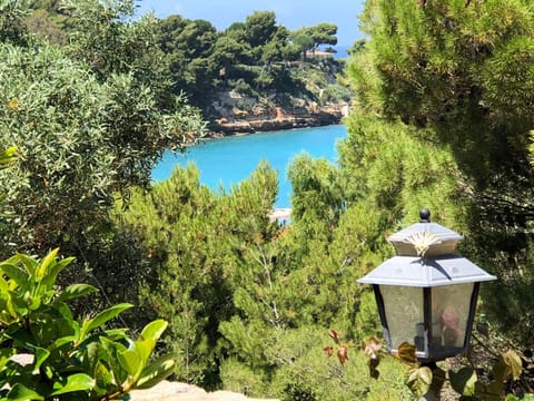Sea view
