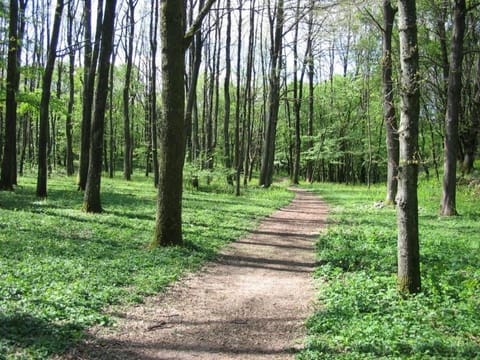 Podere Le Ghiande Farm Stay in Lazio