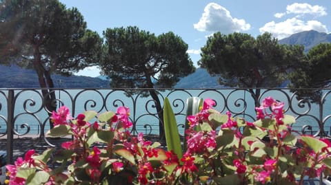 Day, Summer, Lake view