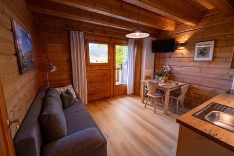 TV and multimedia, Kitchen or kitchenette, Living room, Seating area, Dining area