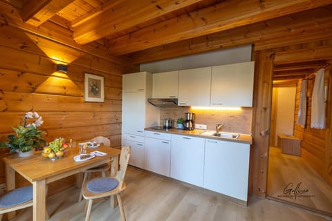 Kitchen or kitchenette, Dining area, stove