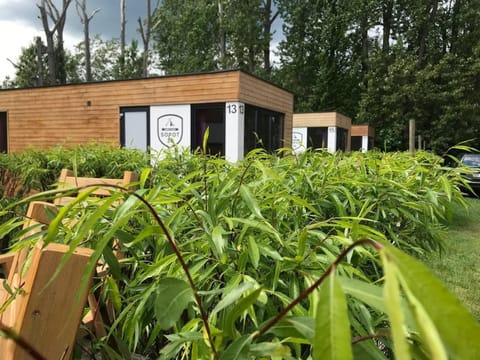 Day, Natural landscape, Garden, Garden view, Parking