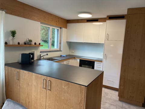 Seegarten A (361 Ku) Apartment in Lantsch/Lenz