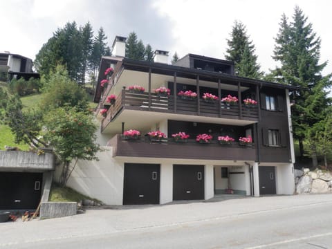 Barlangia (453 Ko) Apartment in Canton of Grisons