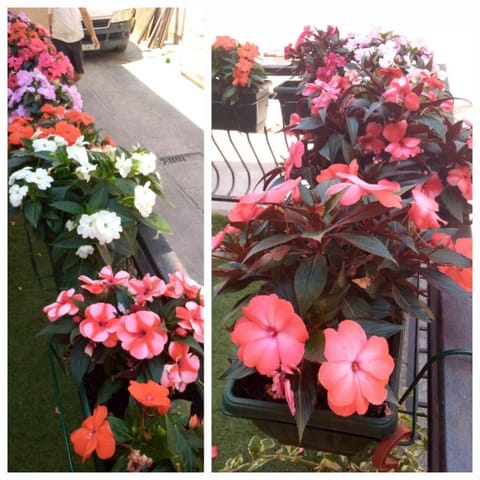 Jezero Apartment in Serbia