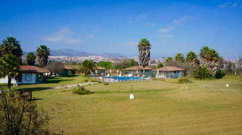 Natural landscape, Bird's eye view, Decorative detail, On site, City view, Garden view, Pool view