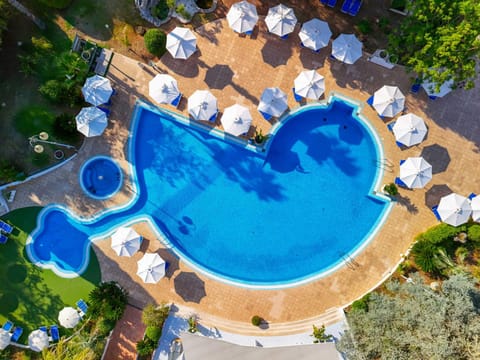Day, Bird's eye view, Pool view, Swimming pool, sunbed