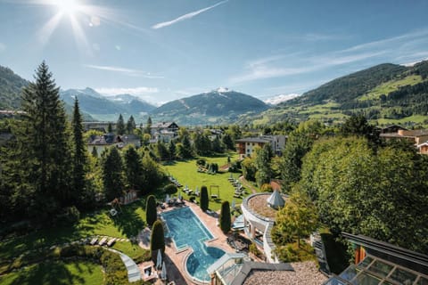 Garden, Garden view, Swimming pool