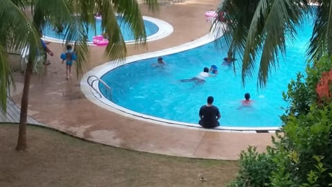 Day, People, Swimming pool, children, group of guests