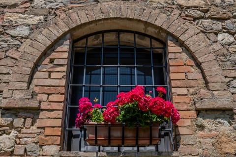 Il Pino Di Spazzavento Country House in Umbria