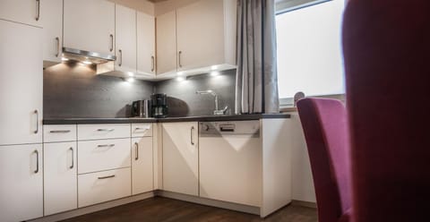 Kitchen or kitchenette, dishwasher, minibar, pet friendly, stove