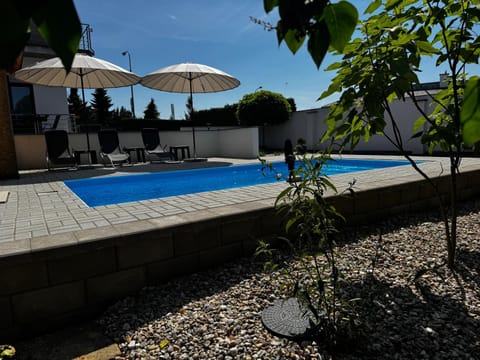 Pool view, Swimming pool, sunbed