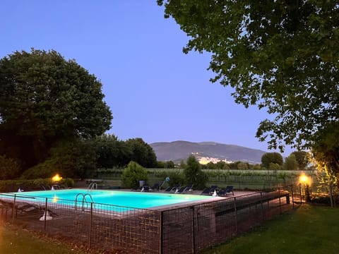 Natural landscape, Garden, Pool view, Swimming pool