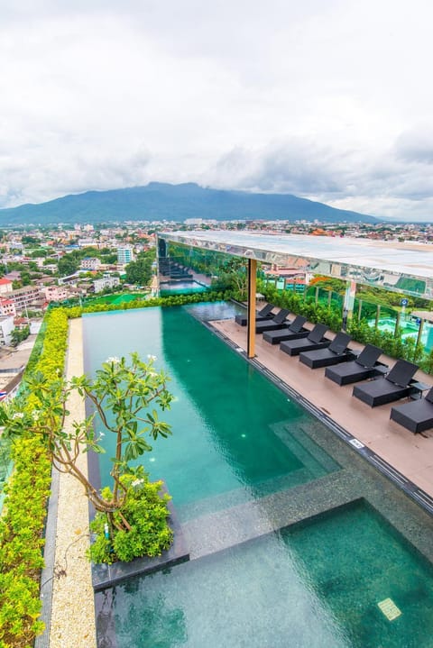 Day, Bird's eye view, Summer, On site, Swimming pool, Swimming pool, Swimming pool