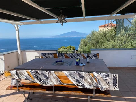 Villa L'ulivina Villa in Sorrento