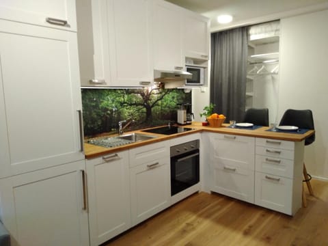 Studiohuoneisto Lohjan keskusta Apartment in Uusimaa