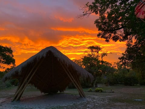 Natural landscape, Sunset