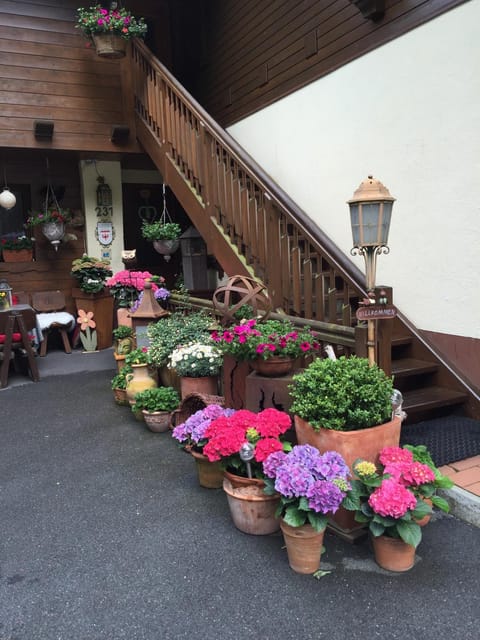 Facade/entrance, Garden