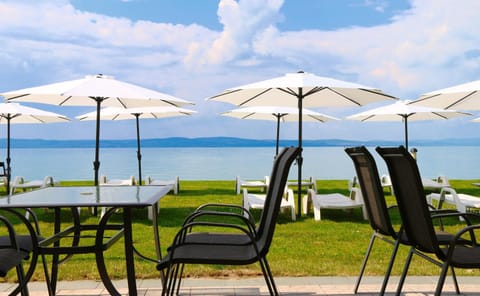 Lounge or bar