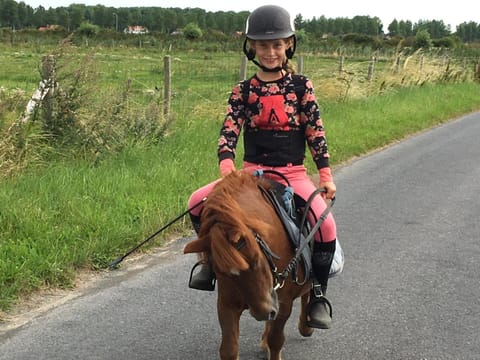 Property building, Spring, Day, Natural landscape, Winter, Summer, Children play ground, Animals, Autumn, On site, Pets