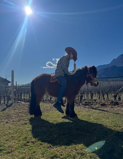 Day, Natural landscape, Animals, children