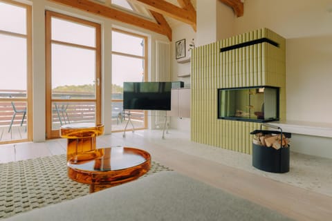 Living room, fireplace