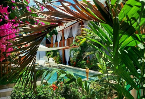 Garden, Swimming pool