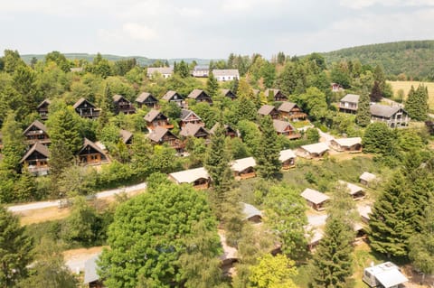 ArdenParks Petite Suisse Campground/ 
RV Resort in Manhay