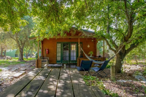 Property building, Natural landscape, Garden