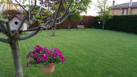 Il Farfasole Bed and Breakfast in Dolo