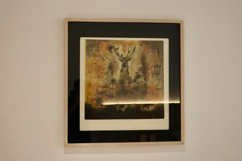 Casa Carmen Morelos Hotel in Oaxaca