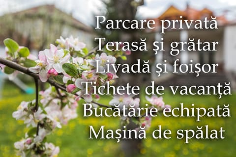 Balcony/Terrace, Parking, kitchen
