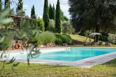 Pool view, Swimming pool, sunbed, sunbed