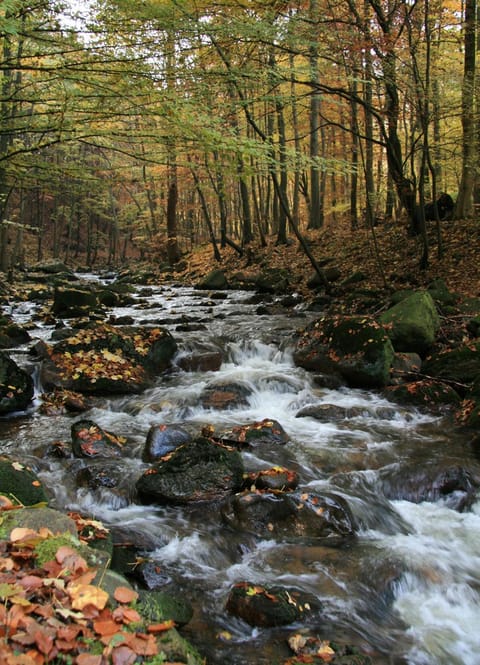 Natural landscape