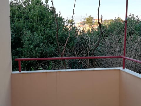 Patio, Garden view