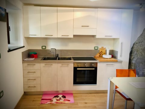 Kitchen or kitchenette, pet friendly, stove