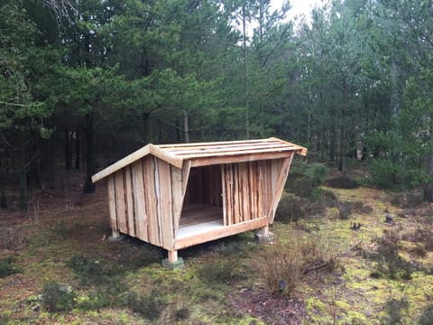 Property building, Other