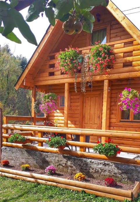 Brvnara Borovik Nature lodge in Montenegro