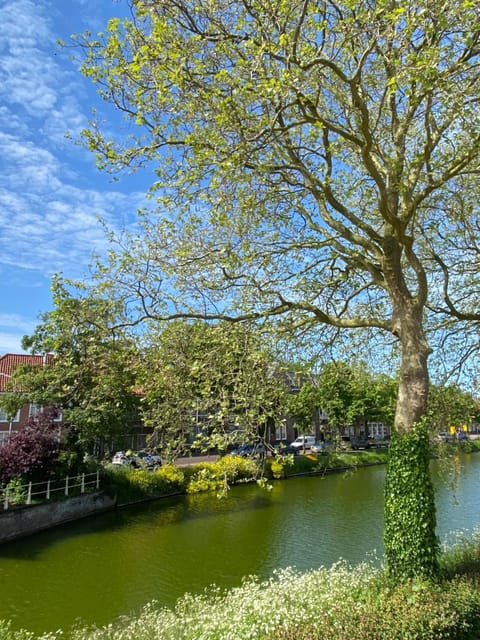 Kromme weele 26 House in Middelburg