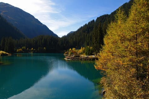 Natural landscape, Summer, Autumn