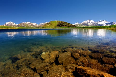 Natural landscape, Summer