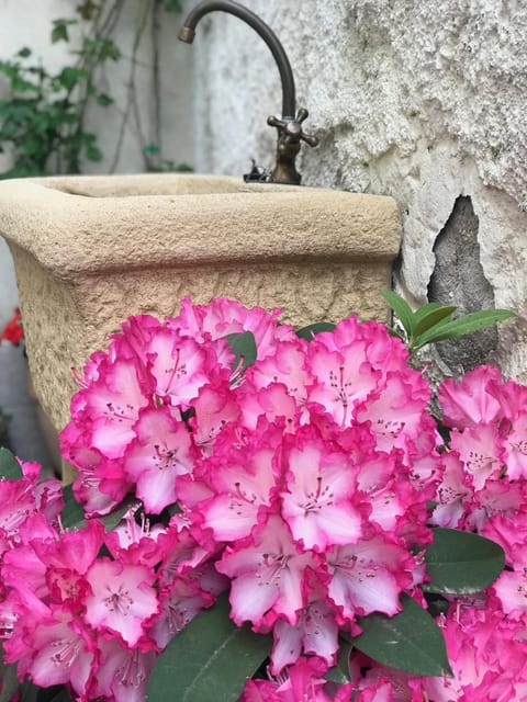 Residence Campanelle 54 Apartment in Trieste