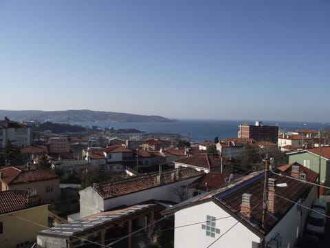 View (from property/room)