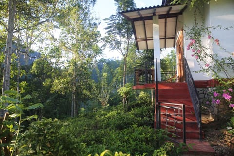 Property building, Balcony/Terrace