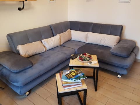Library, Living room