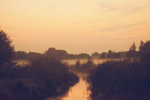 Natural landscape, Hiking, Sunrise