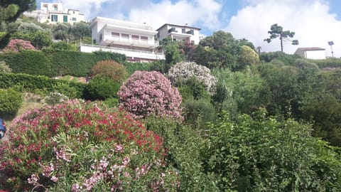 Natural landscape, Garden, Garden view