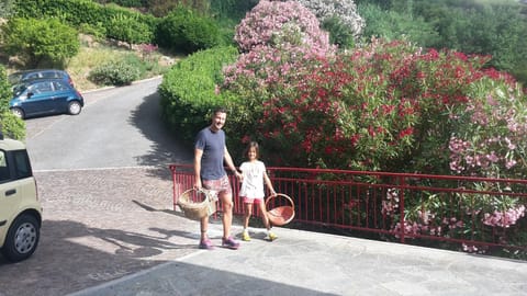 Natural landscape, Garden view, children, group of guests